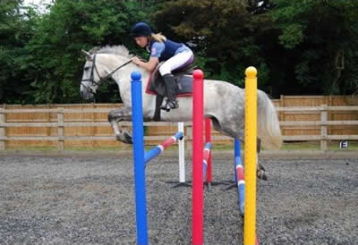 Hollands Farm horse livery in Buckinghamshire