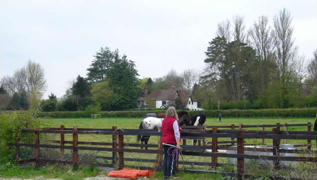 Horse livery Bourne End